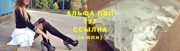 СК Алексин