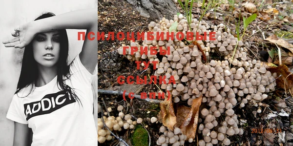 mix Аркадак