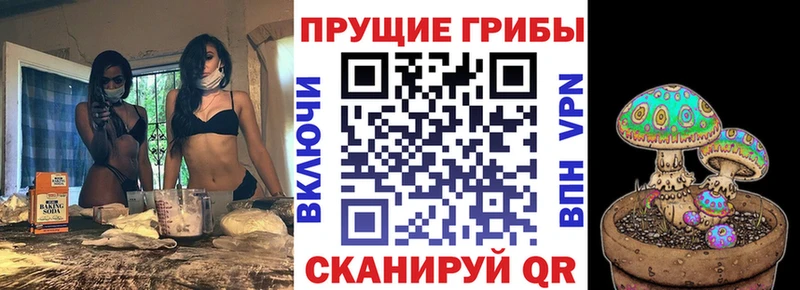 ОМГ ОМГ ссылка  Бронницы  Псилоцибиновые грибы мухоморы 